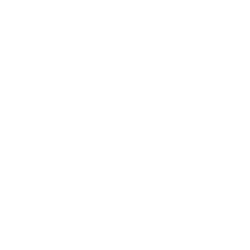 Manager Icon