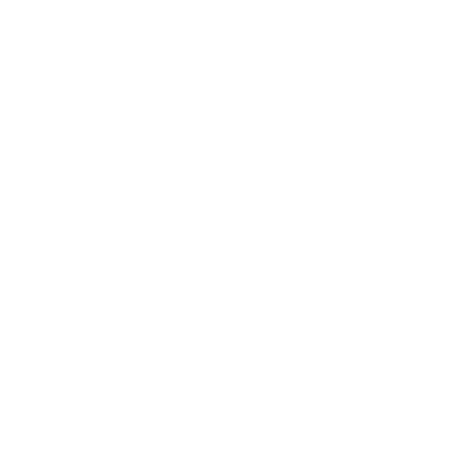 Trainer Icon